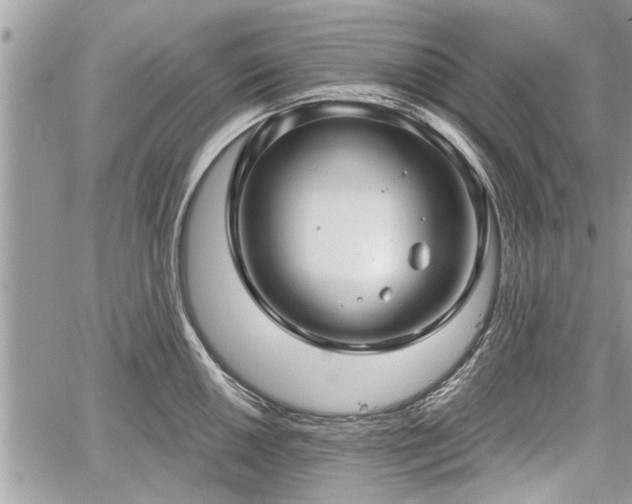 X0000060761050200511141226