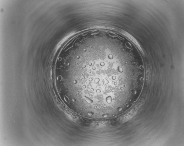 X0000060761051200511141226