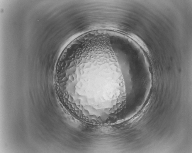 X0000060761052200511141226