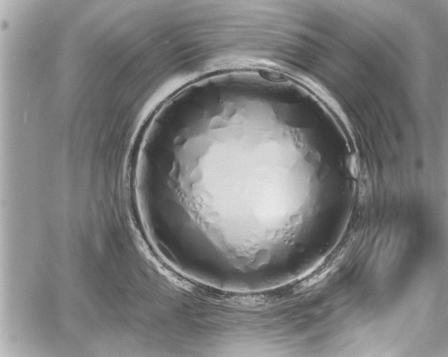 X0000060761053200511141226