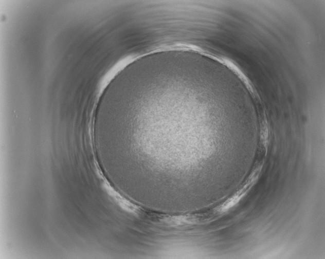 X0000060761054200511141226