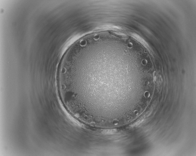 X0000060761055200511141226