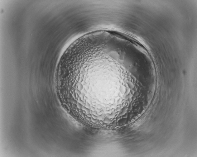 X0000060761056200511141226