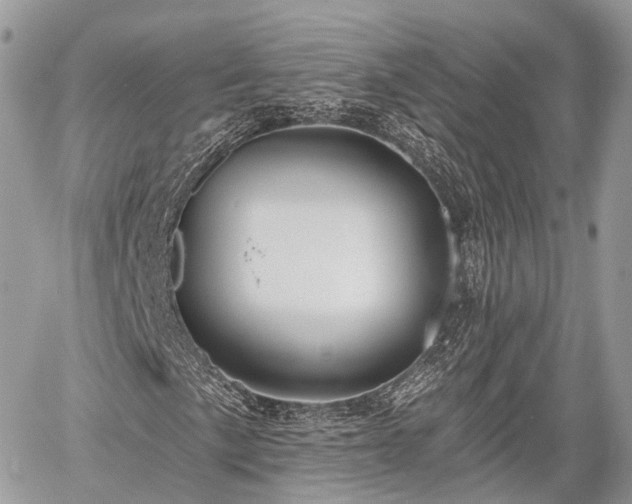 X0000060761057200511141225