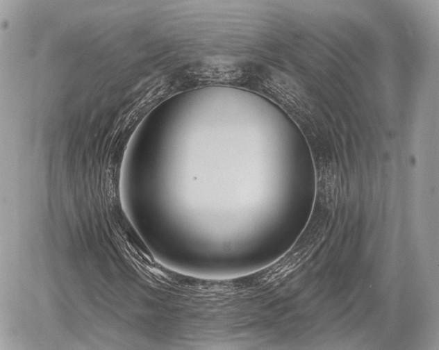 X0000060761058200511141225