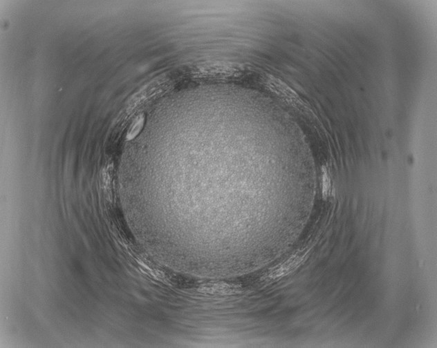 X0000060761059200511141225