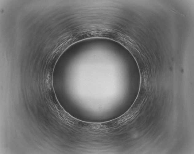 X0000060761060200511141225