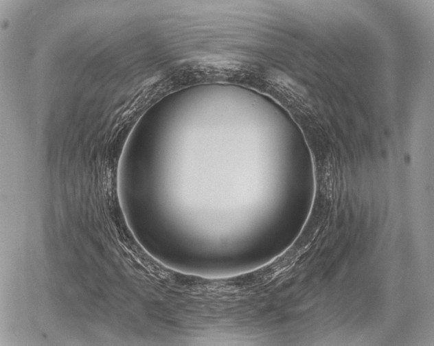 X0000060761061200511141225