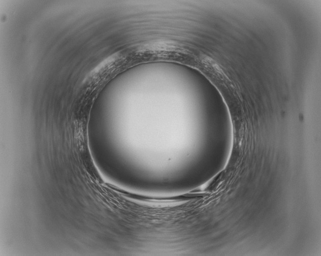 X0000060761062200511141225