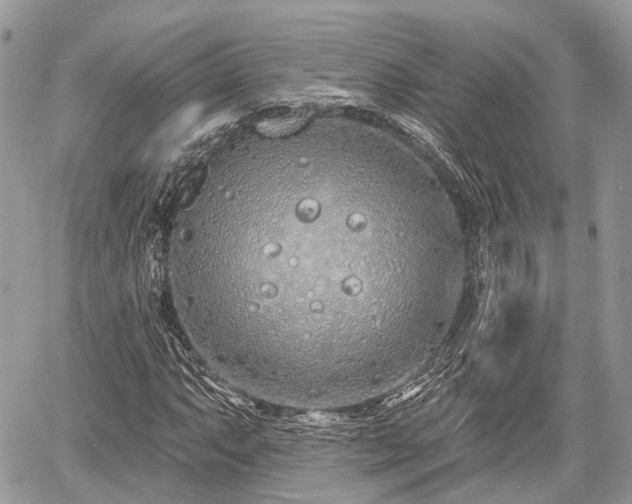 X0000060761063200511141225