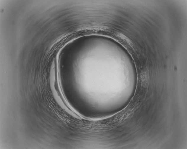 X0000060761064200511141225