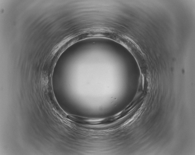 X0000060761065200511141225