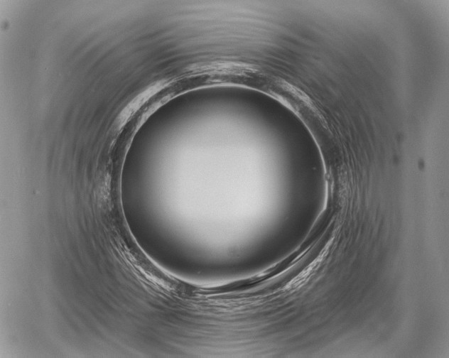 X0000060761066200511141225