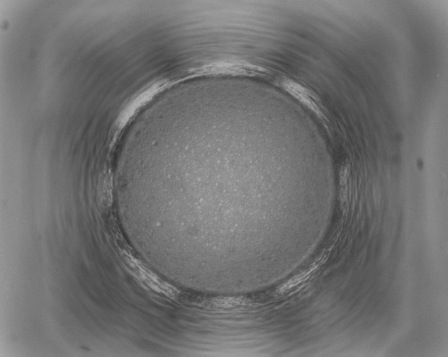 X0000060761067200511141225