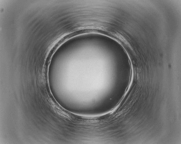 X0000060761068200511141225