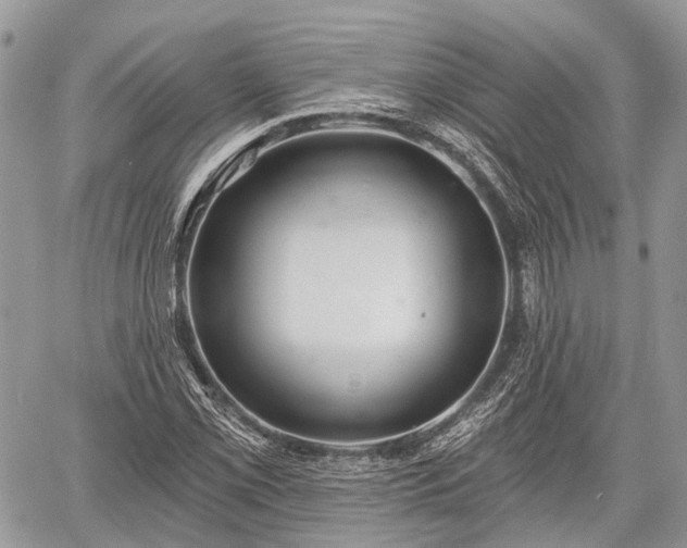 X0000060761069200511141225