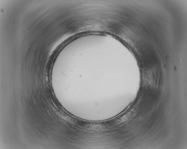 X0000060761070200511141225