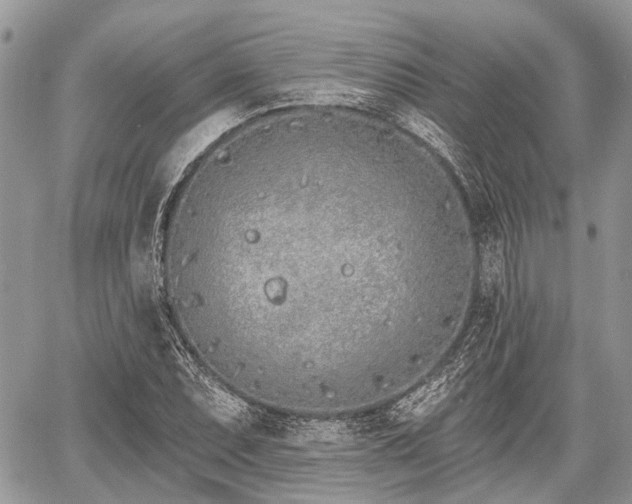 X0000060761071200511141225