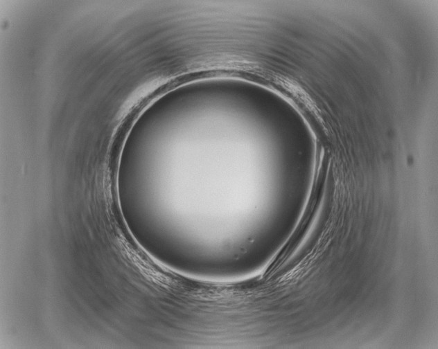 X0000060761072200511141225