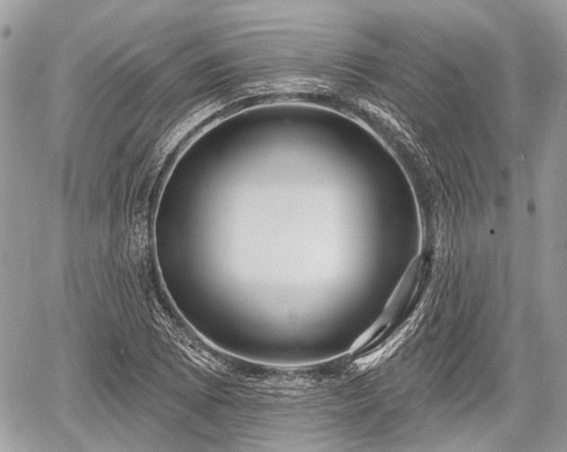 X0000060761073200511141225