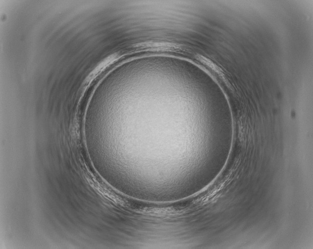 X0000060761074200511141225