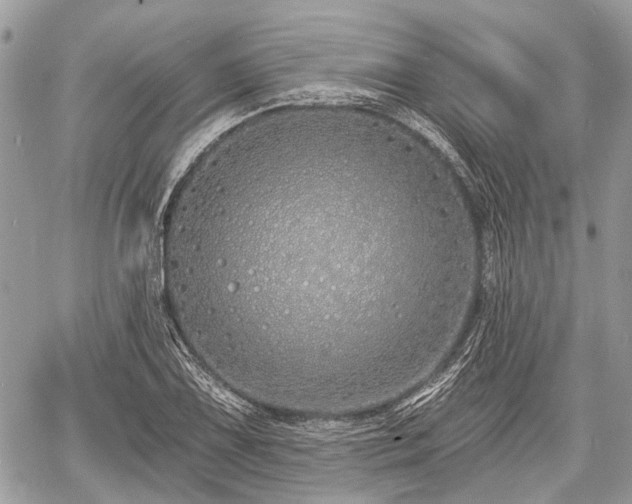 X0000060761075200511141225