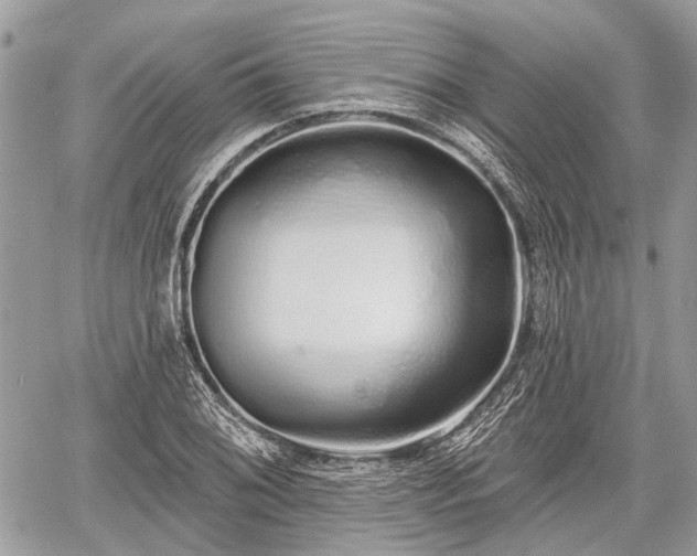 X0000060761076200511141225