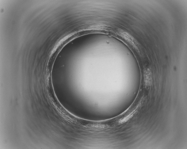 X0000060761077200511141225