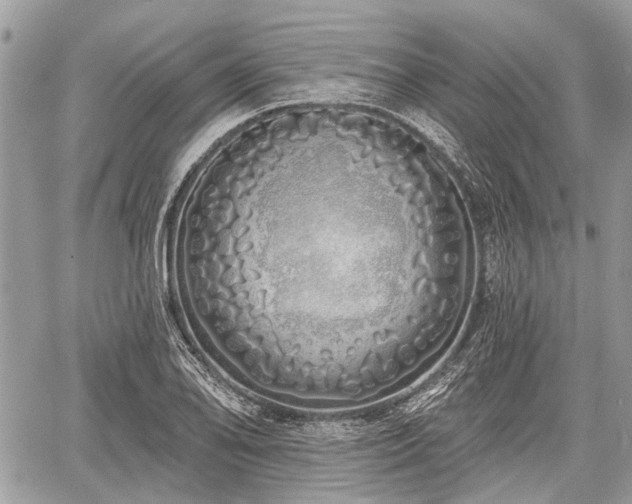 X0000060761078200511141225