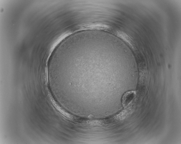 X0000060761079200511141225