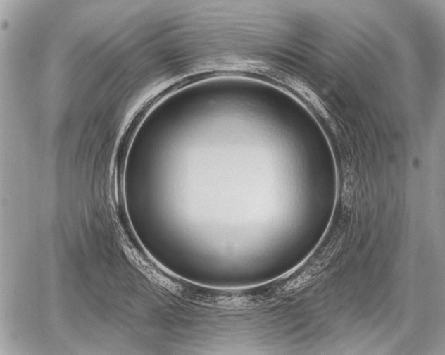 X0000060761080200511141225