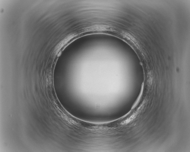 X0000060761081200511141225