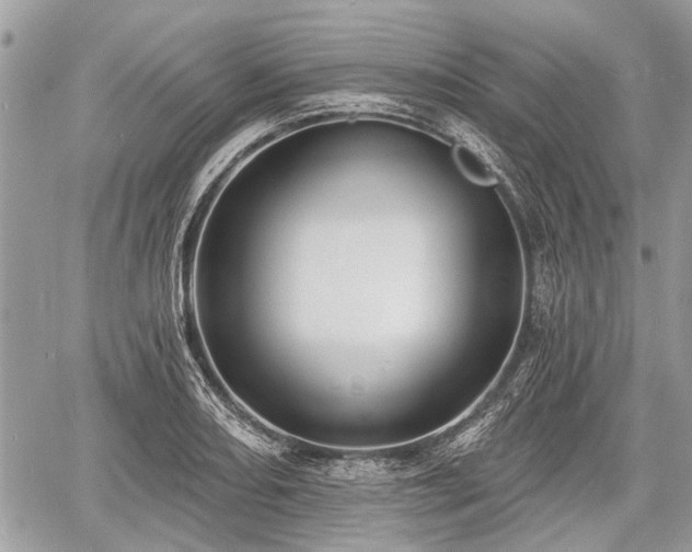 X0000060761082200511141225