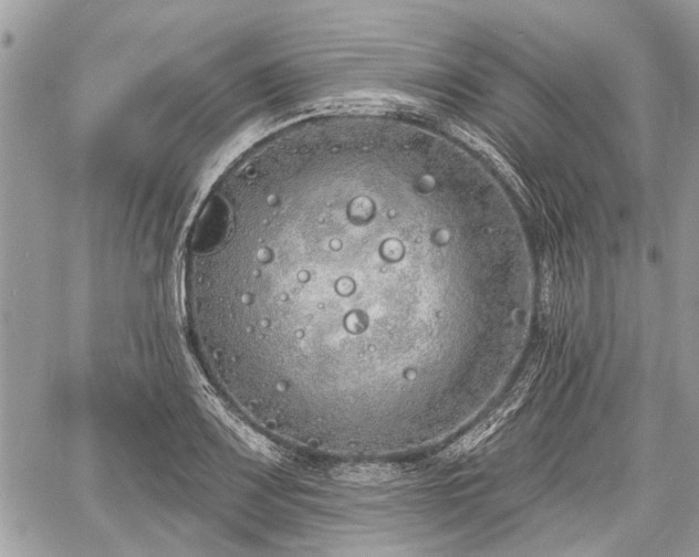 X0000060761083200511141225