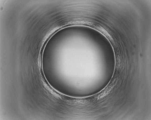 X0000060761084200511141225