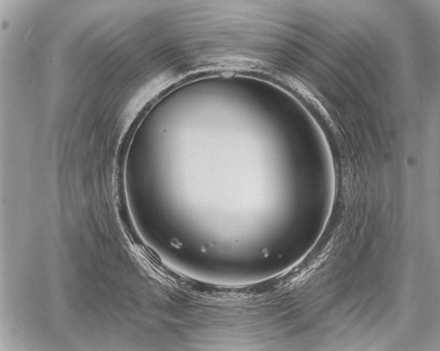 X0000060761085200511141225