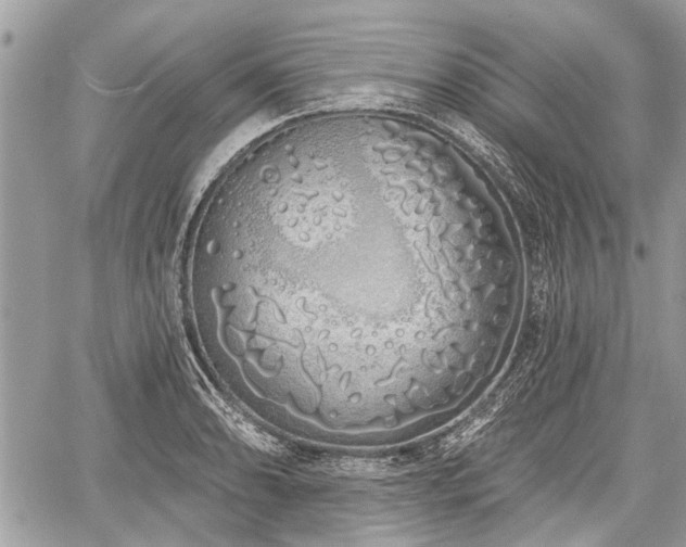 X0000060761086200511141225