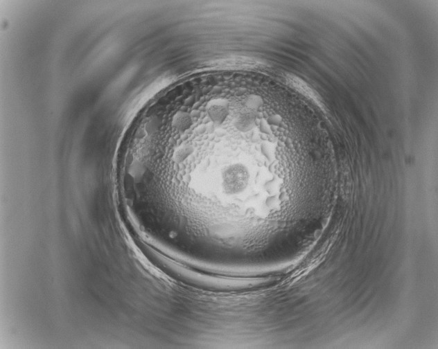 X0000060761087200511141225