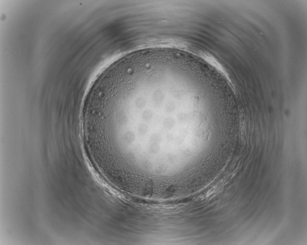 X0000060761088200511141225