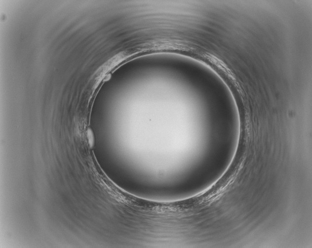 X0000060761089200511141225