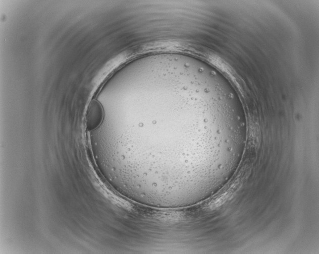 X0000060761090200511141225