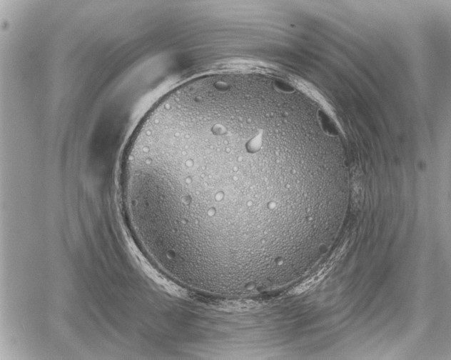 X0000060761091200511141225