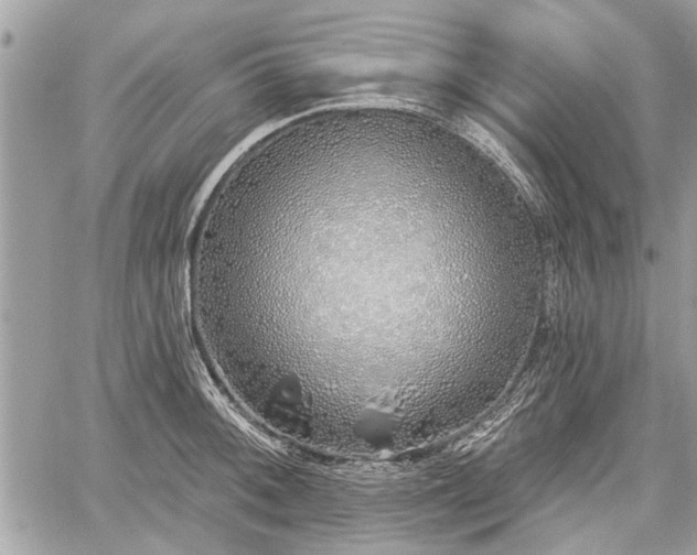 X0000060761092200511141225