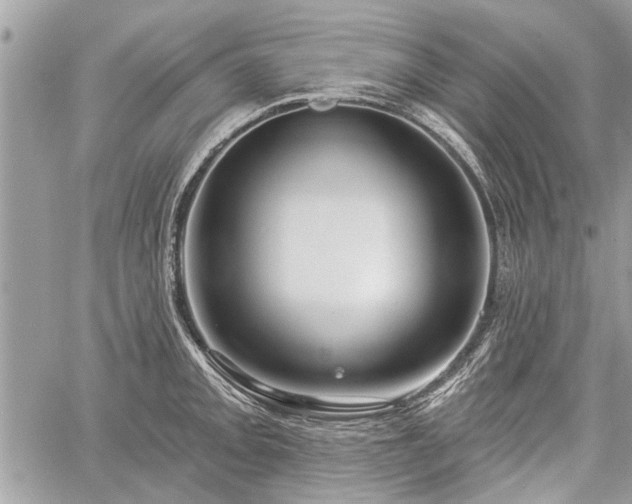 X0000060761093200511141225