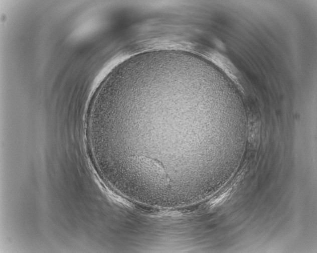 X0000060761094200511141224