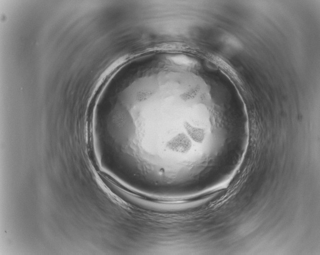 X0000060761095200511141224