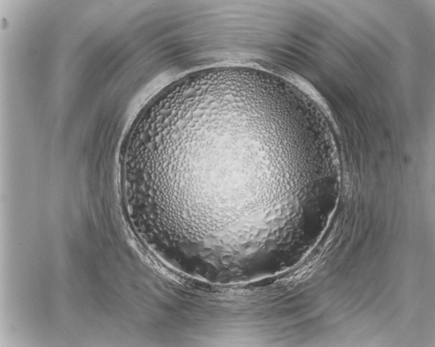 X0000060761096200511141224