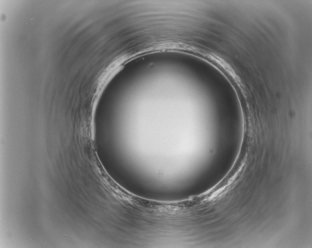 X0000060761097200511141224