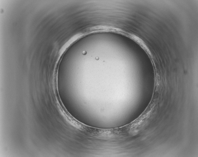 X0000060761098200511141224