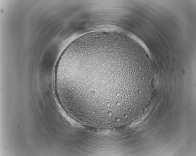 X0000060761099200511141224